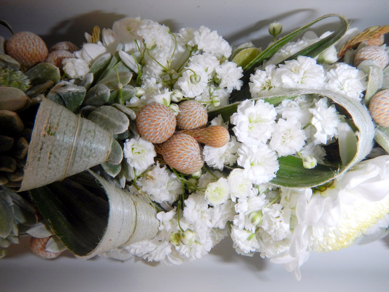 HB-silver buttonwoord lei