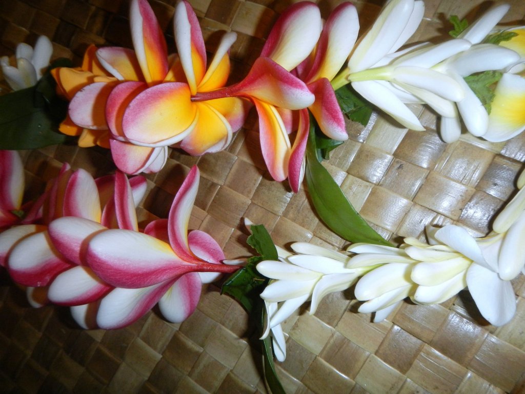 Lei rainbow pua melia tiare buds